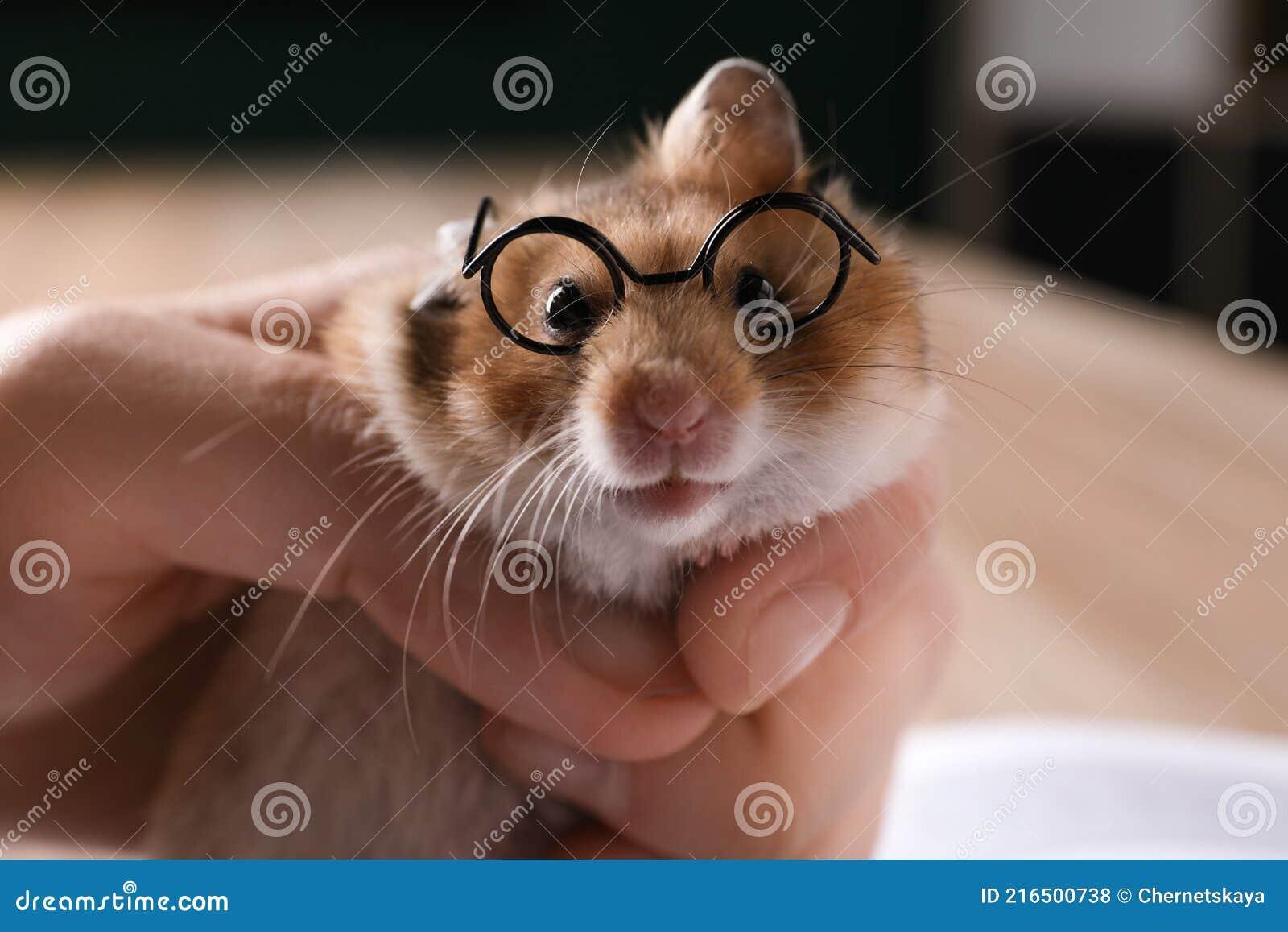 Поилка для хомячка. ДвуХстишье