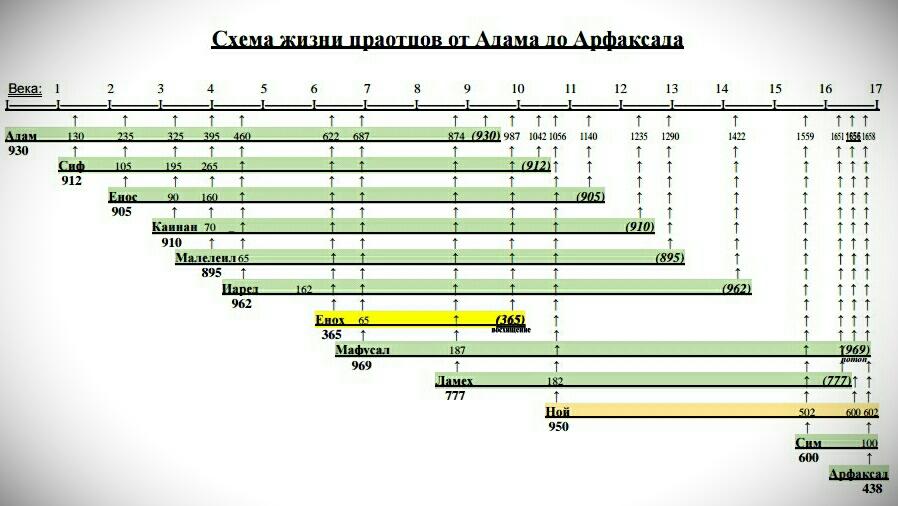 Схема жизни праотцов от Адама до Арфаксада