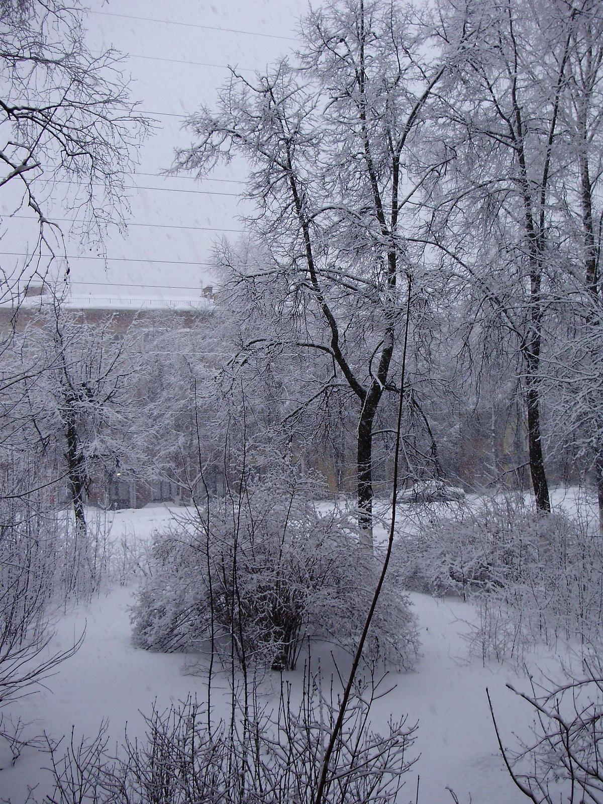 "Мир в душе" (01.01.2019)