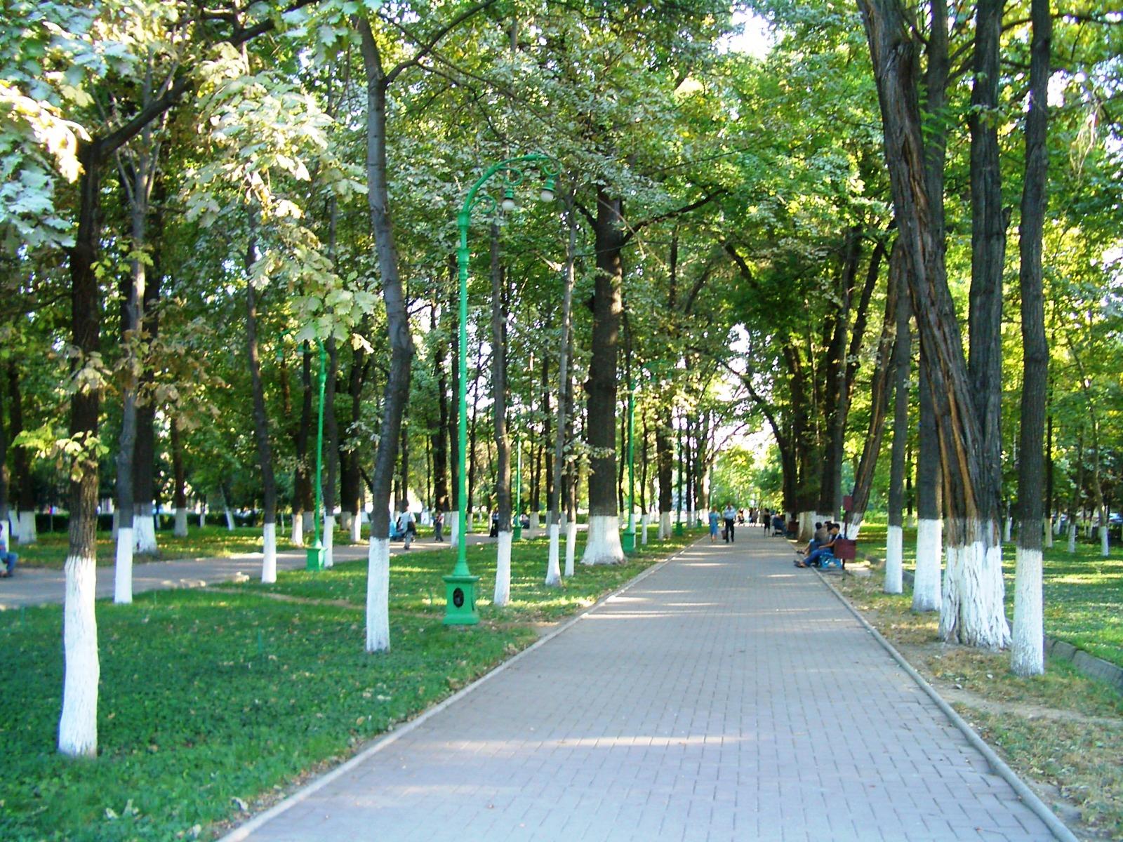 Следы. Книга 3. Часть 1. Глава 15. Непростой разговор