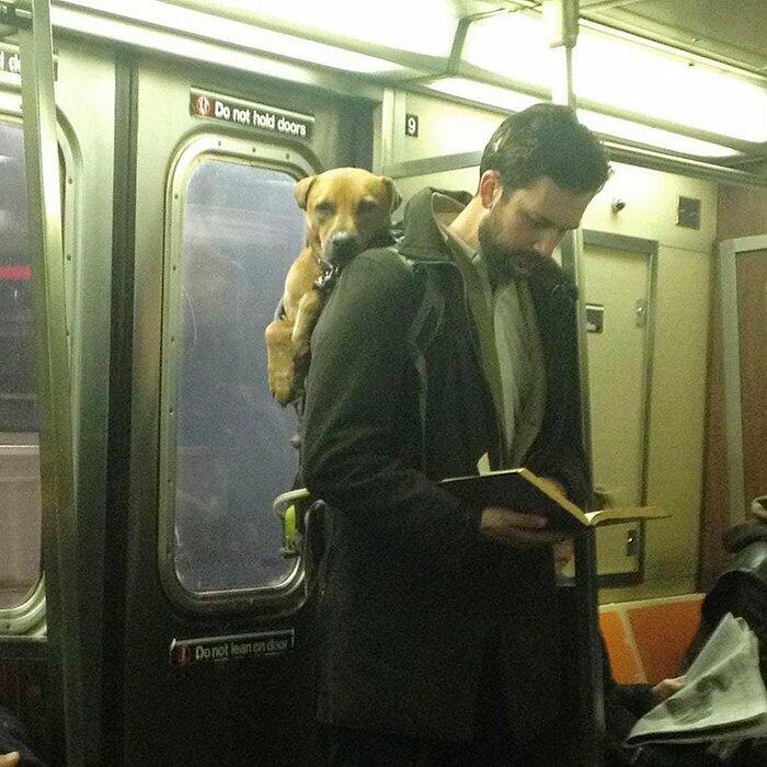 Безмолвный ответ на молчание