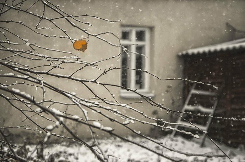 "Грустные оттенки" (15.01.2021)