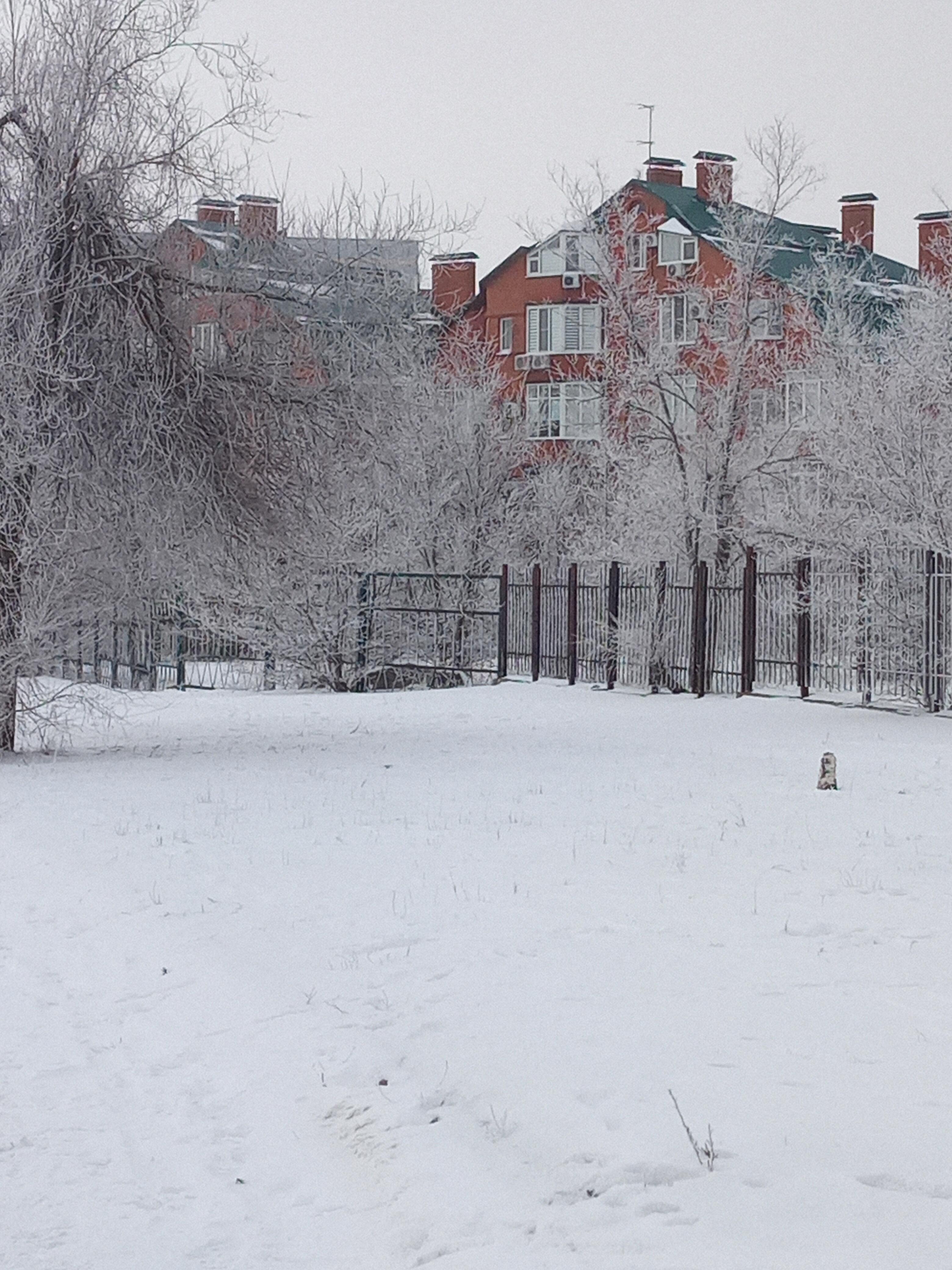 ЗИМНЯЯ СКАЗКА (4) 