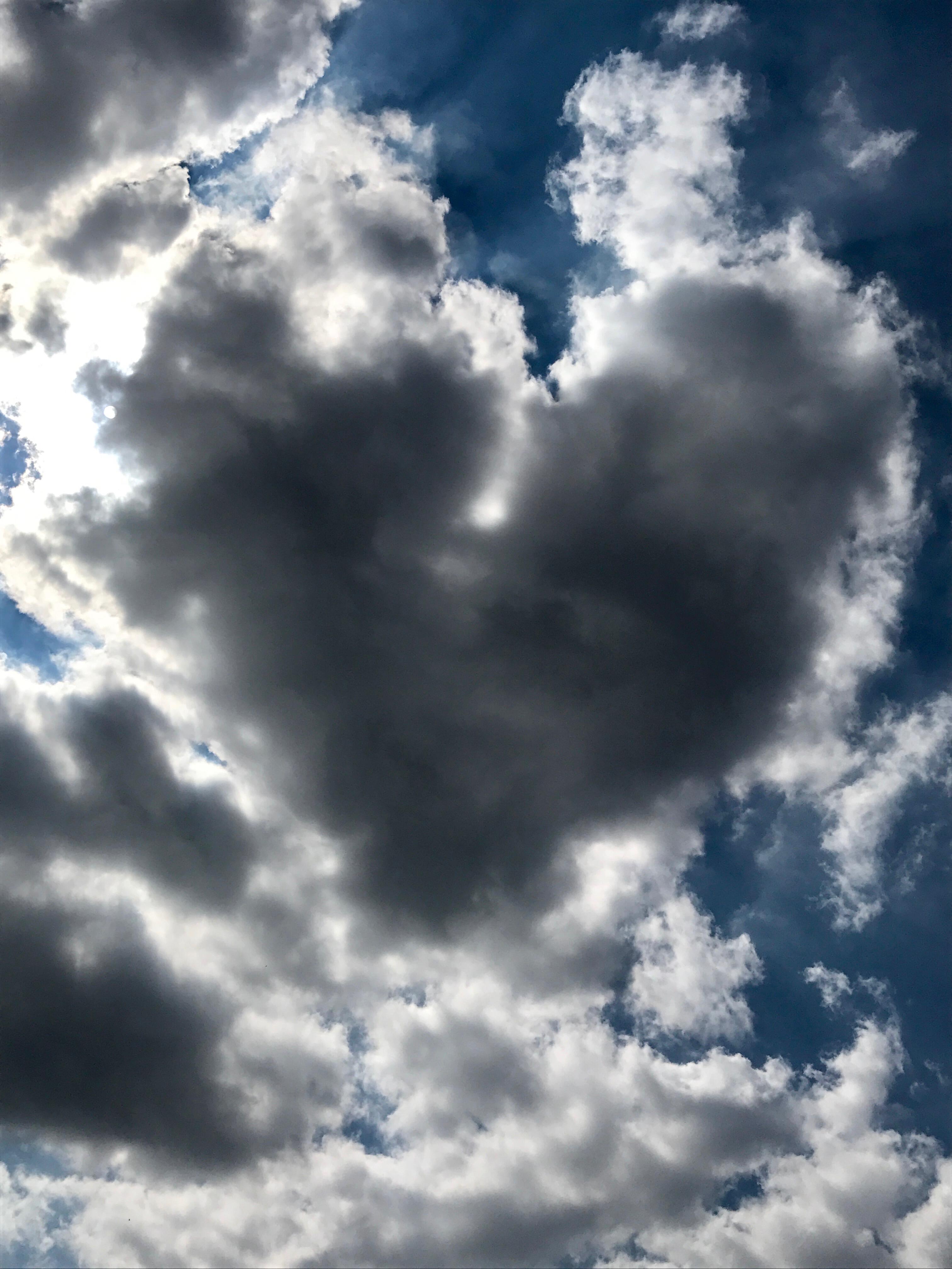 Не смей обиду на меня таить!