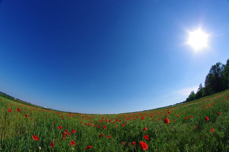 Настоящая красота