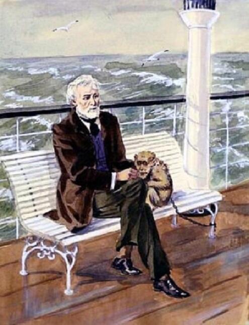 Краткий отзыв