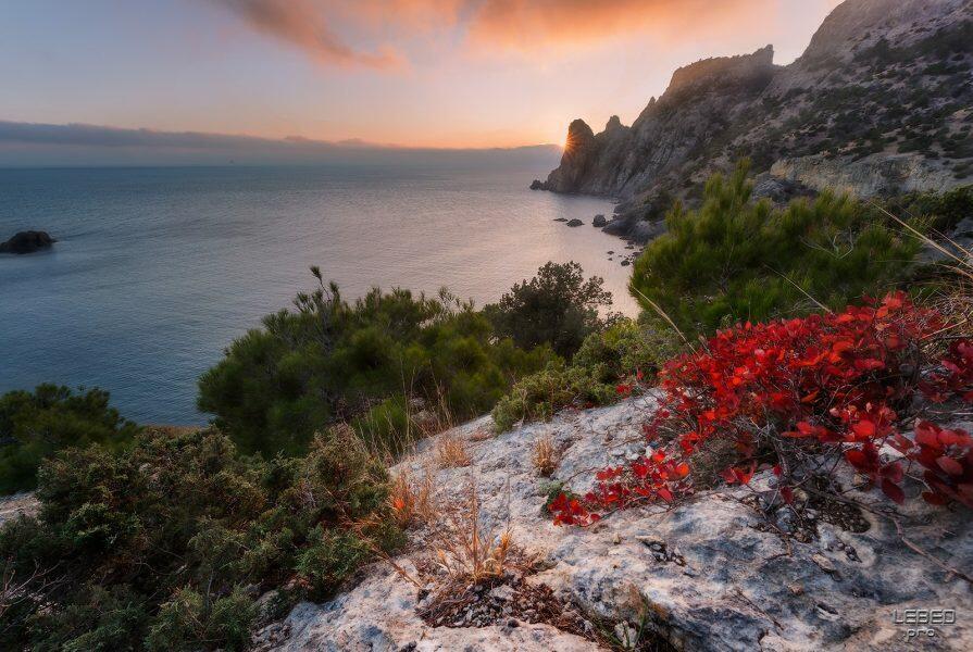 Прощание с морем