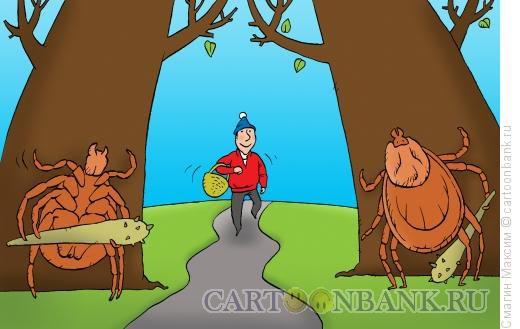 Разгулялись...