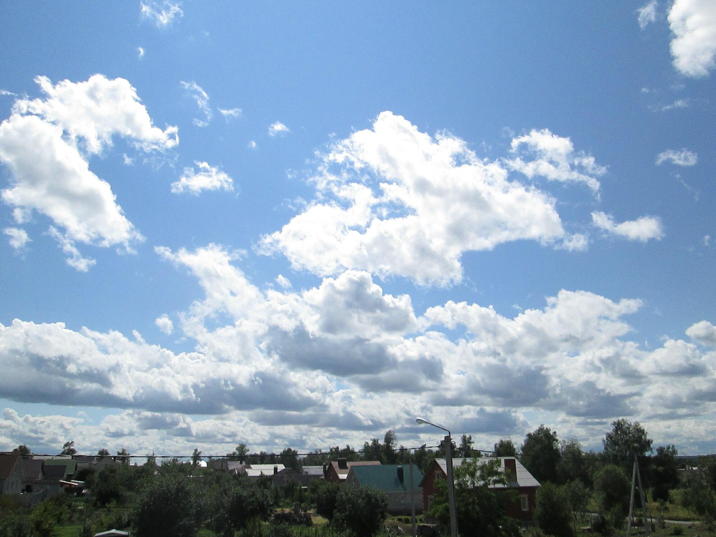 НОРОВ ЦЫГАН