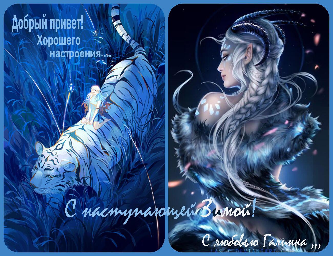 Синего тигра по осени гонит зима      Галинка Багрецова