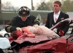 Via est vita(диалог о путях-дорогах)