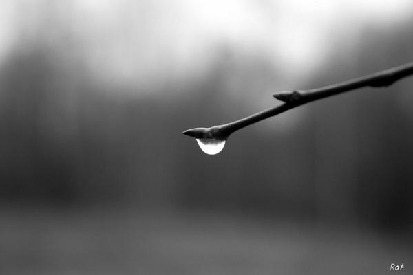 "В эти часы невесомые..." (10.09.2014)