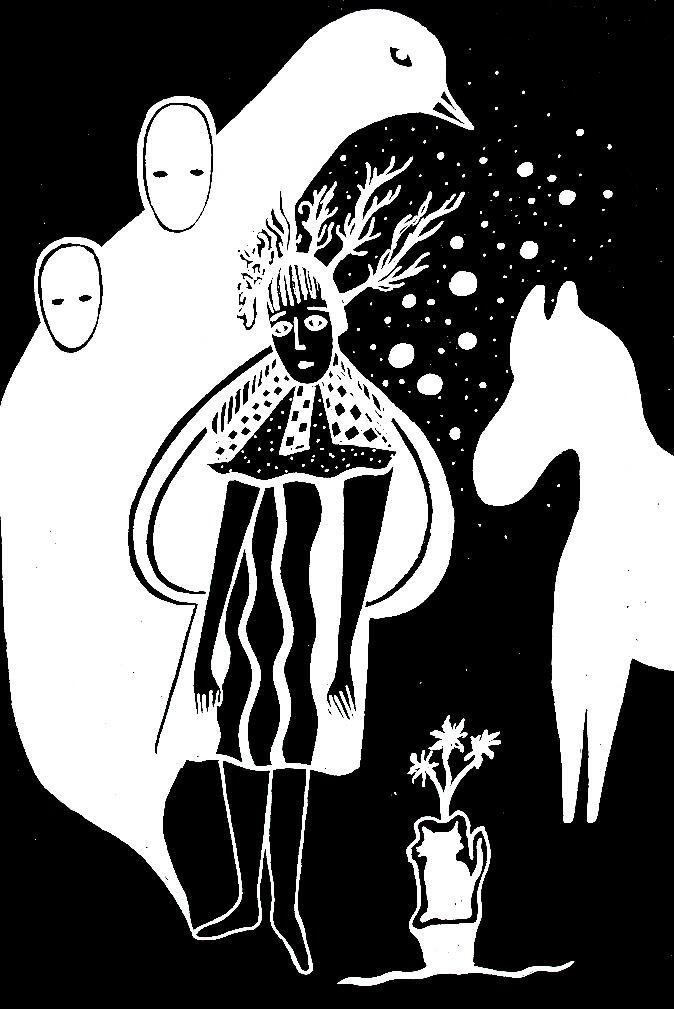 Тень феникса