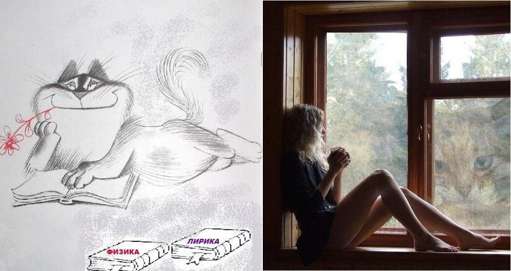 Кот и поэтесса