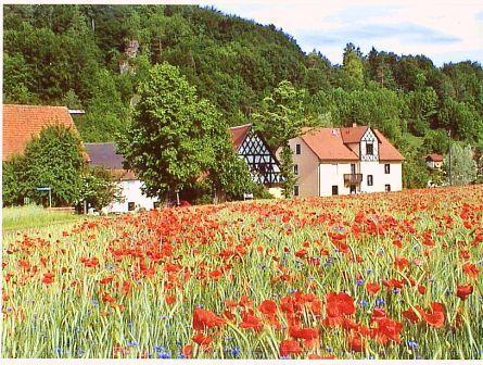 Мужчина глуп, коль слушает жену