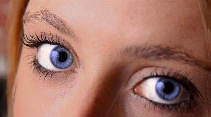 "Анютины глазки" (20.04.2016)