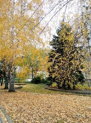 ЗАКАТ ОСЕНИ