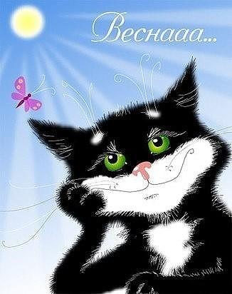 Кошачьи свадьбы