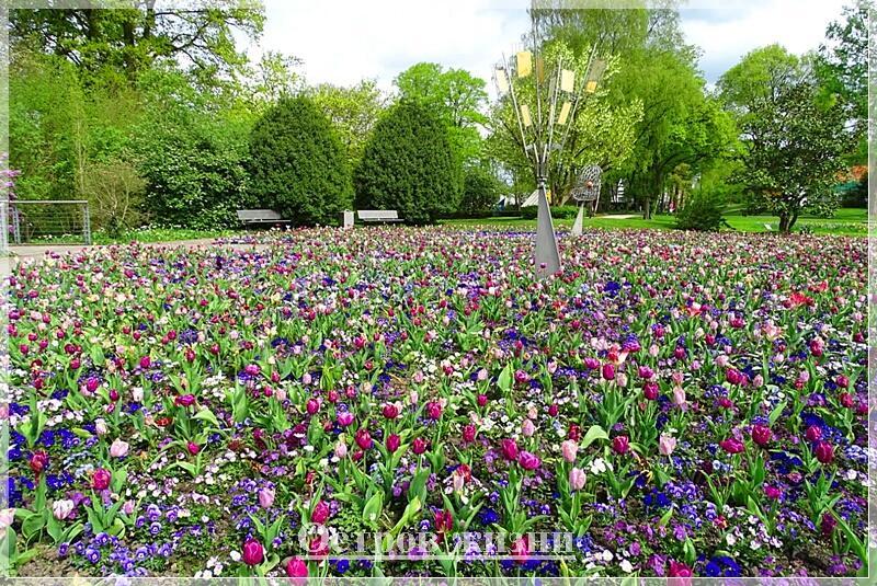 Весну не скроешь. Выше забвения