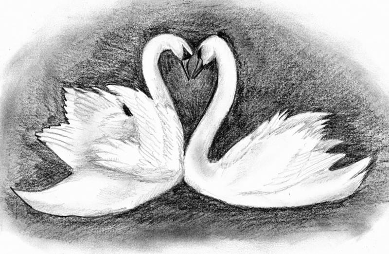 Лучше лебедем родиться