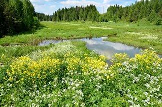 Самые краткие ночи