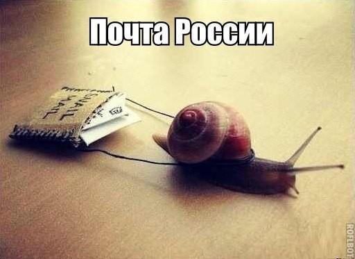 На злобу дня