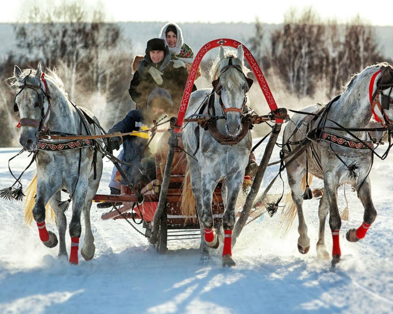 ********Vselennaya-viollla (((ответ тебе,Сашенька