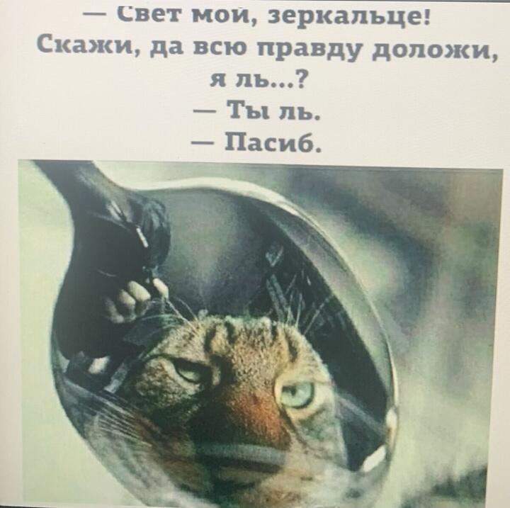 Рашен - сам себе страшен