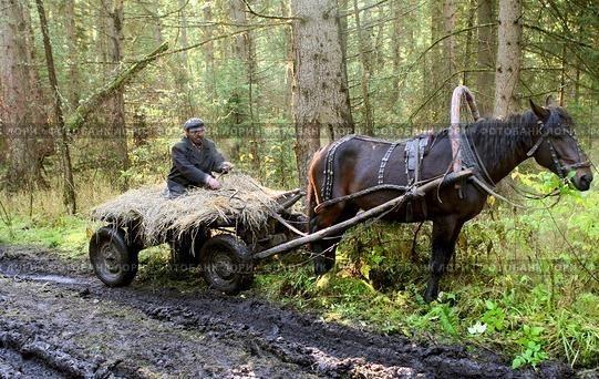 Бездорожье