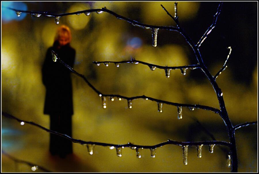 Пришла година неплохая