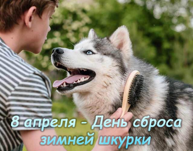 Сбросили шкурку?