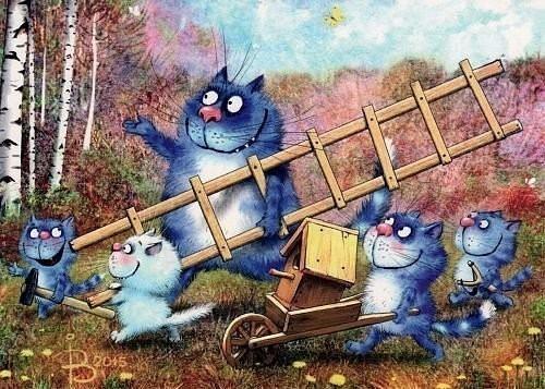 А у нашего,у Димы.