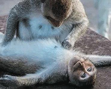 Прощай мой друг, прощай!