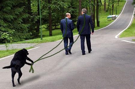 Собачинки от Оттовича.