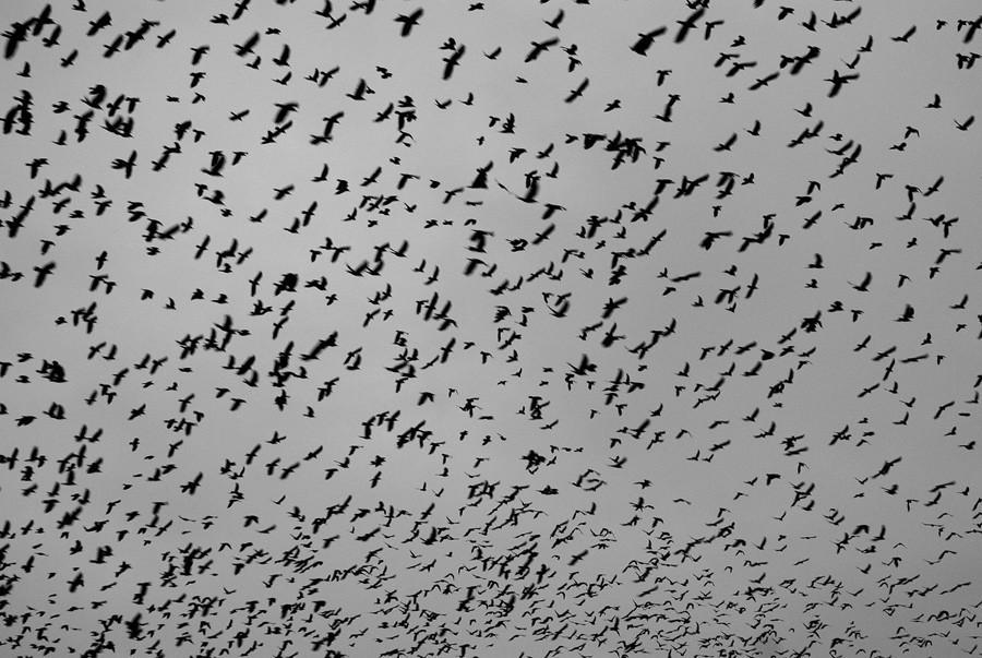 Отпустите,вы,обиду навсегда.