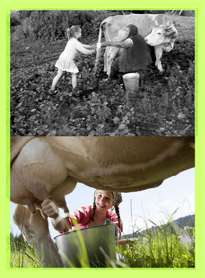 Парное Лето