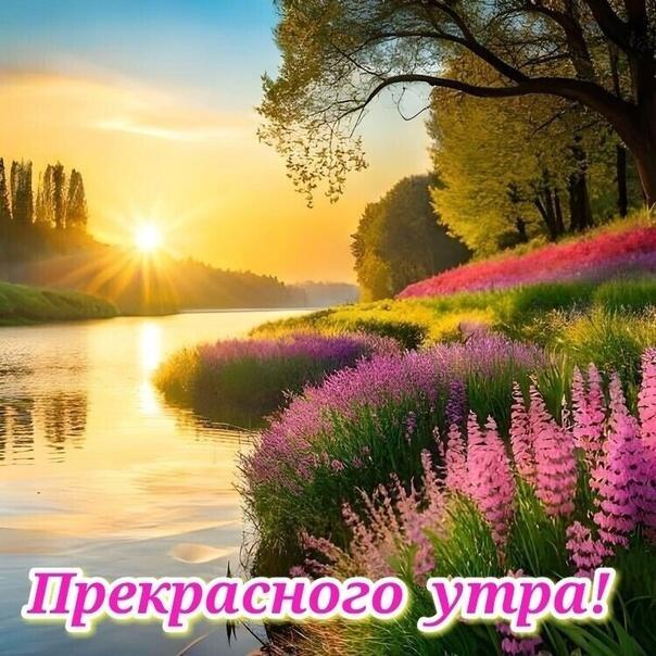 ДОБРОГО УТРА ВОСКРЕСНОГО ДНЯ