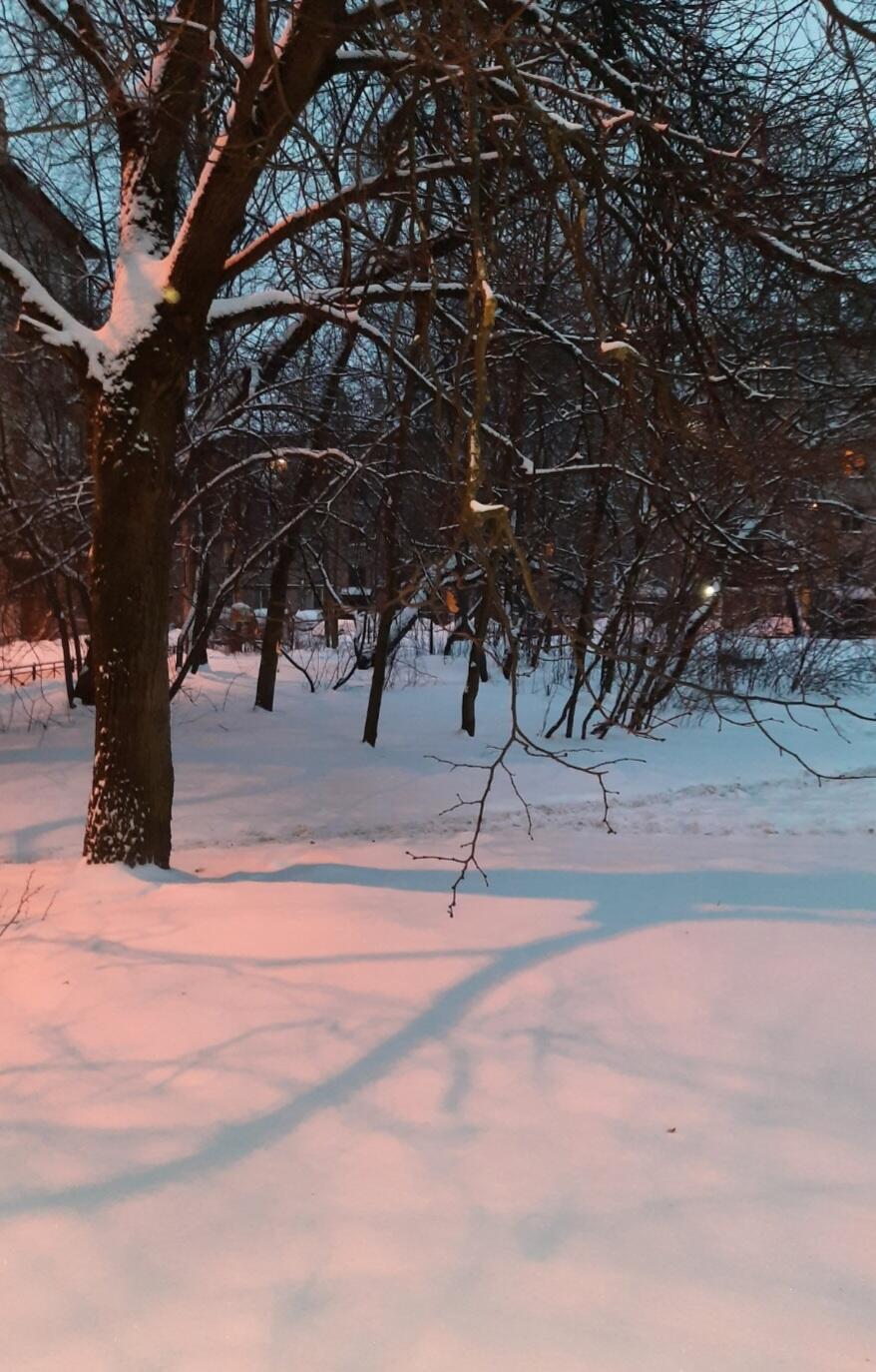 Конец февраля. Только ты и любовь.