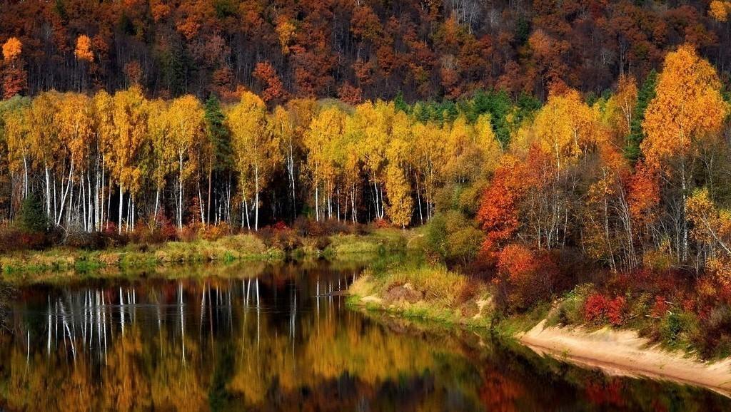 Льется речка..