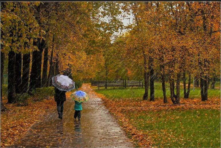 Осенний дождь!!!