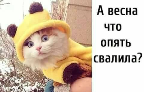 Вернуться. В весну, лето…