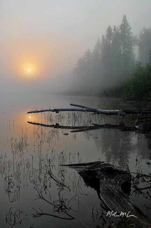 ВЕЧЕРНИЙ ЧАС