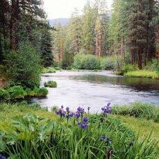 Где шумят перекатами волны