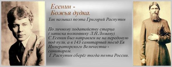 Шалая поэзия