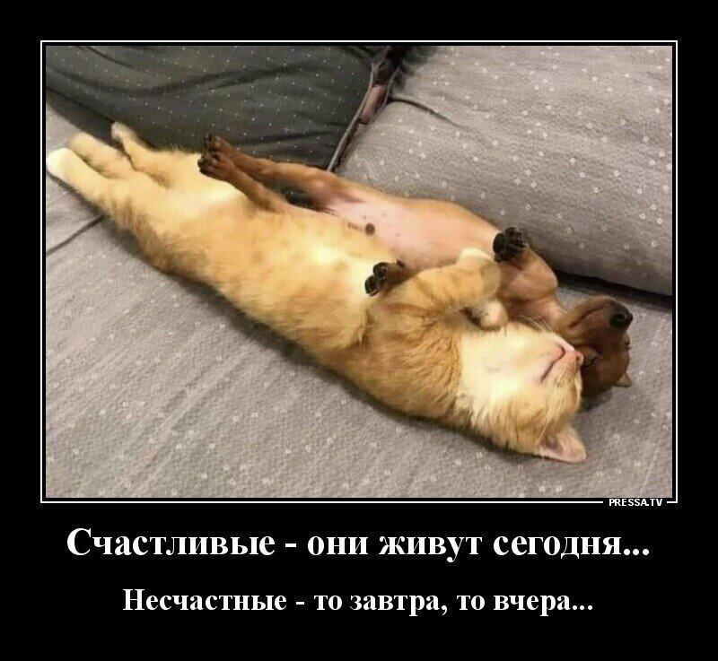 Ловлю смешинки