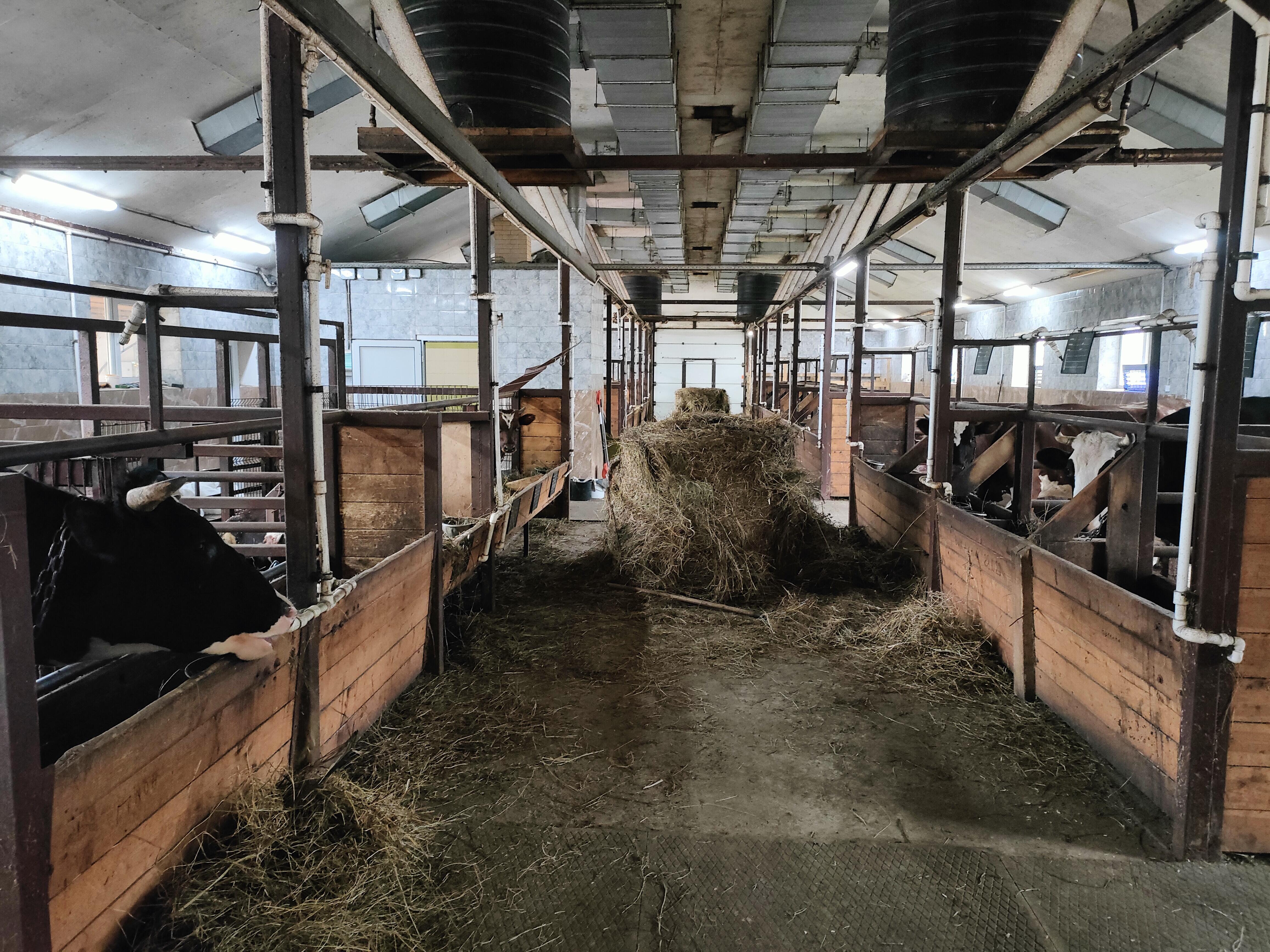 Труда красота