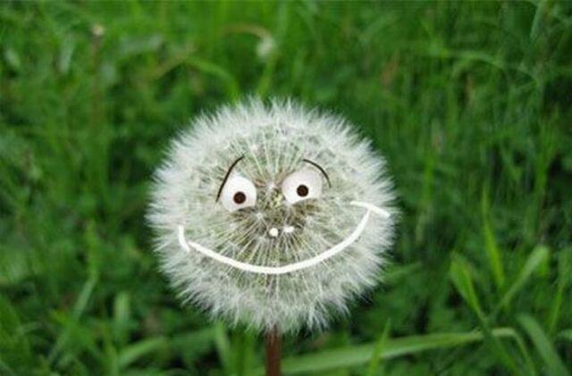 врунимагу! Первоапрельское