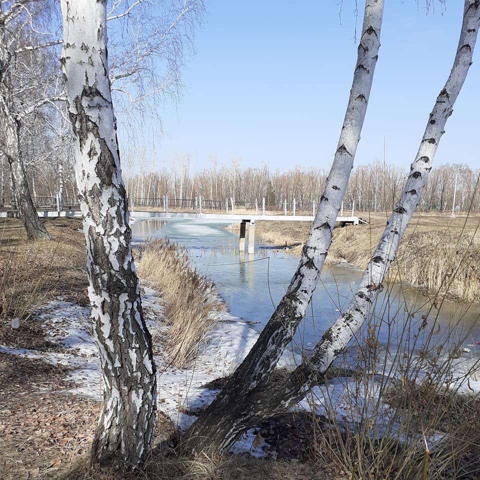 До весны лишь шажок