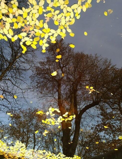 Плачет осень