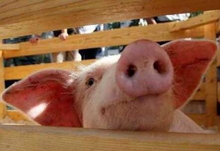 О пользе знаний